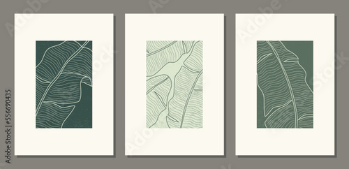 Set of minimalist botanical line art with banana palm leaves, abstract collage
