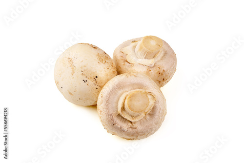 Champignon mushrooms, isolated on white background.
