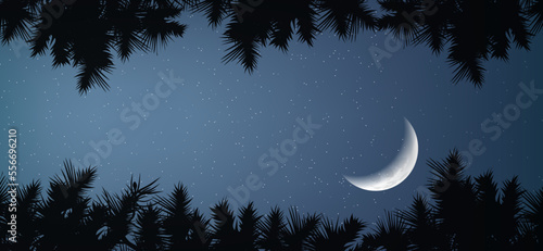 Moon crescent between forest trees in calm night