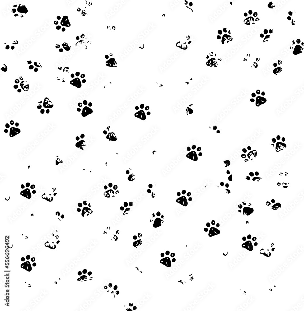 dog paw prints on the white ground