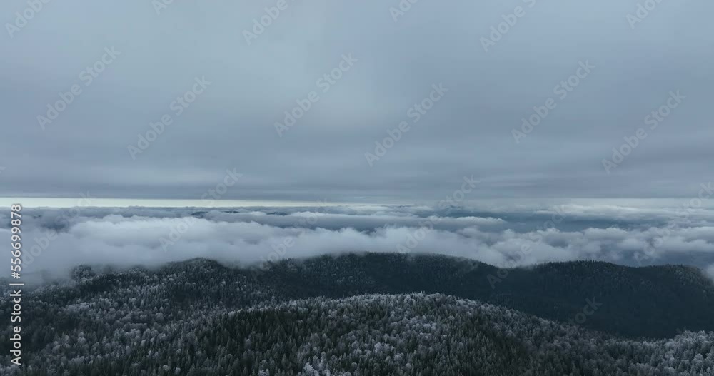 Aerial view of north snowy forest winter landscape, snowfall and first fresh snow covered forest, top down view. Aerial view of north snowy forest winter landscape, snowfall and first fresh snow covered forest, top down view.
