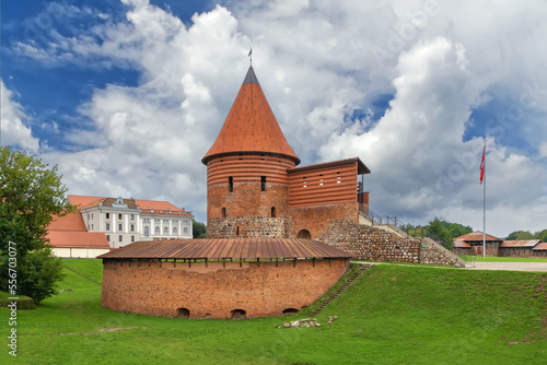 Canvas Print Kaunas Castle, Lithuania