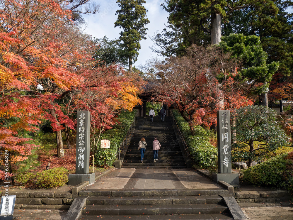 Fall Foliage at Engakuji Temple, North Kamakura