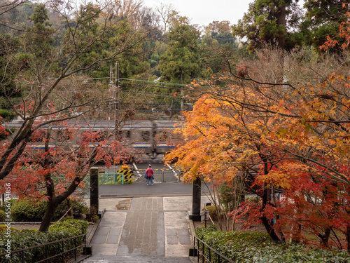 Fall Foliage at Engakuji Temple, North Kamakura
 photo