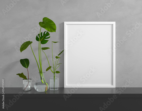 Succulent pot plant with frame mock up, 3D rendering