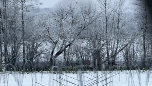 Wallpaper Mural train driving through rural winter landscape with hoar frost Torontodigital.ca