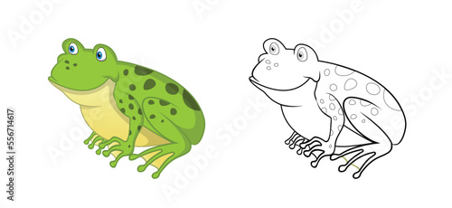 Happy cartoon frog with line art, frog sketch color less page isolated on white background.