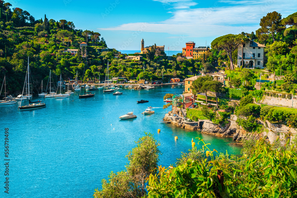 Mediterranean cityscape with spectacular harbor, Portofino, Liguria, Italy, Europe
