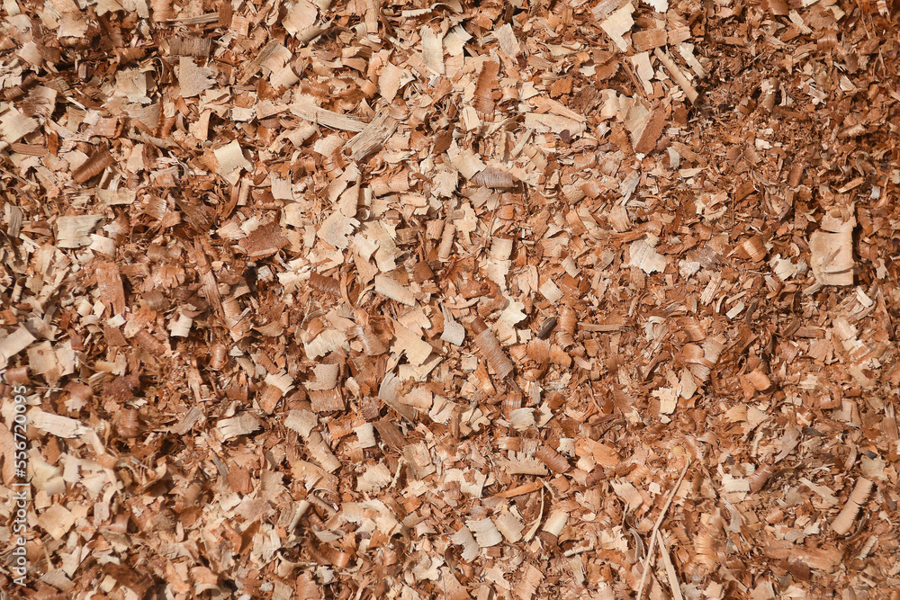 Wood sawdust texture on the floor Wood sawdust texture on the floor