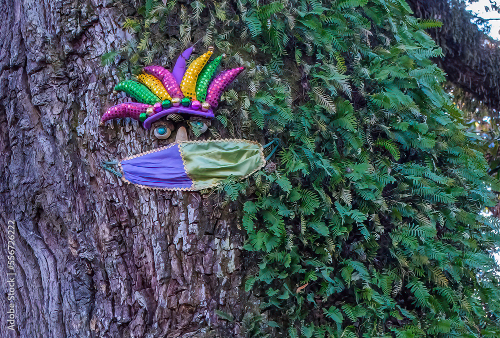 Fototapeta premium Jester's Face Mardi Gras Decoration on a Live Oak Tree Covered with Resurrection Fern