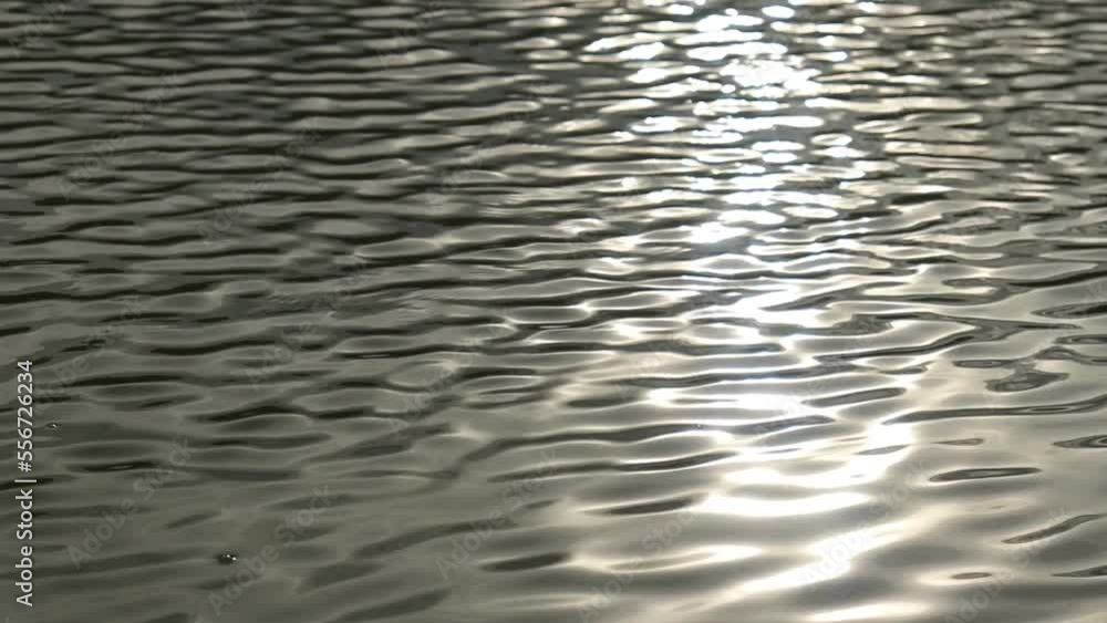 Reflection of sunlight and water waves in the fish pond. video Water texture
Reflection of sunlight and water waves in the fish pond. video Water texture