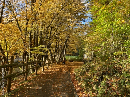 Promenade entre Durbuy et Barvaux sur le Ravel en Belgique