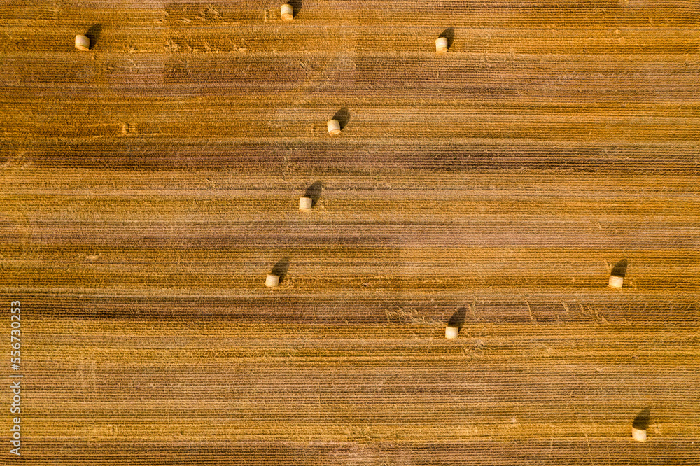 Drone flight over a harvested grain field with straw bales. Top view. Drone flight over a harvested grain field with straw bales. Top view.