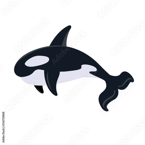 Cartoon killer whale isolated on white background. Cute whale. Killer whale sea animal. Vector stock