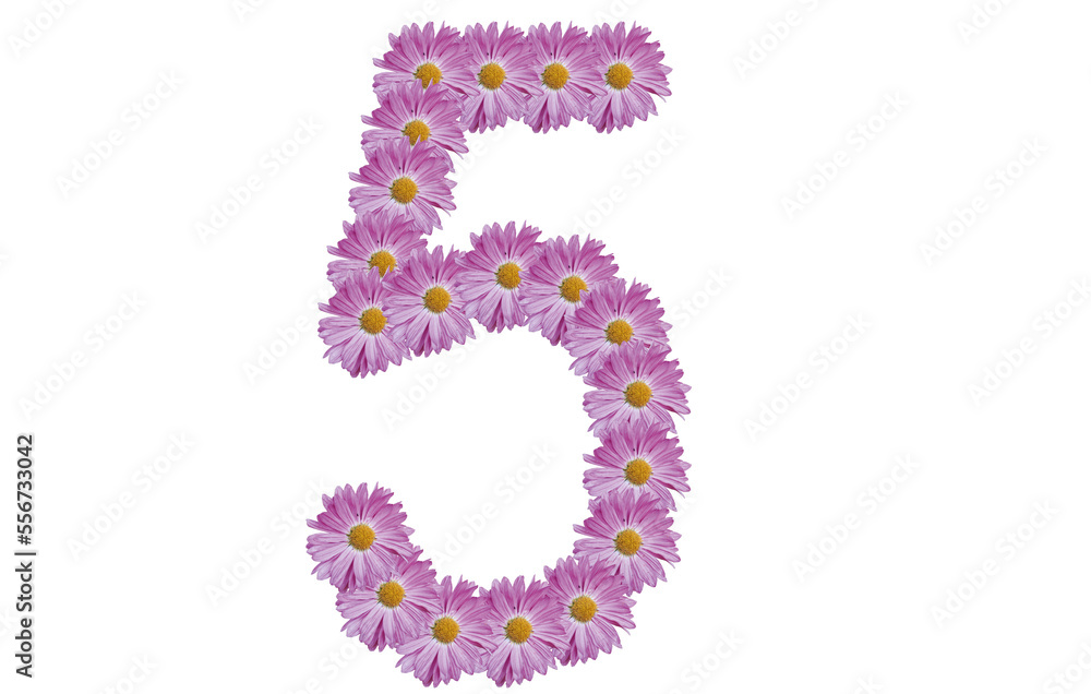 Number five made with pink flower isolated on white background. Spring concept idea.