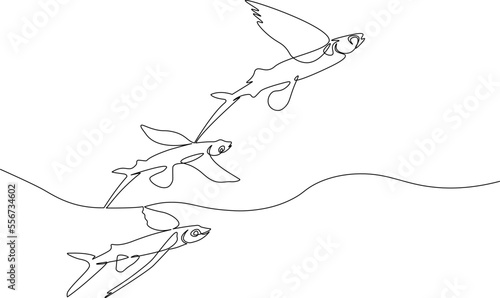 Three flying fish on ocean surface made in the one continuous line art technique. Minimalistic black and white image