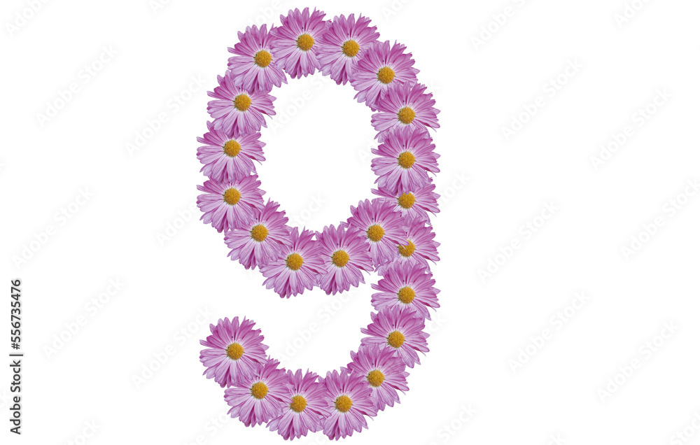 Number nine made with pink flower isolated on white background. Spring concept idea.