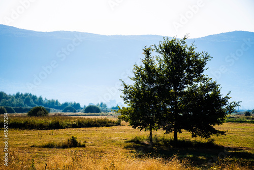 Landscape of the Licko-senjska zupanija area, Croatia. photo