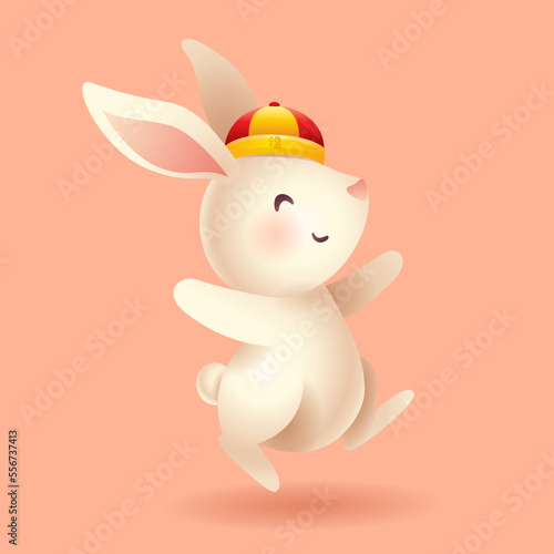Cute rabbit with Chinese hat. Year of Rabbit. Translation - Good fortune.