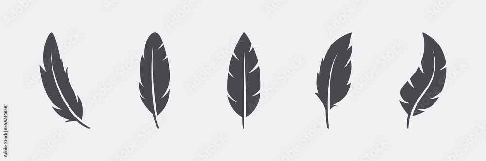 Vector Fluffy Feather Silhouette Icon Set Isolated. Design Template of Flamingo, Angel, Bird Feathers. Lightness, Freedom Concept Vector Fluffy Feather Silhouette Icon Set Isolated. Design Template of Flamingo, Angel, Bird Feathers. Lightness, Freedom Concept