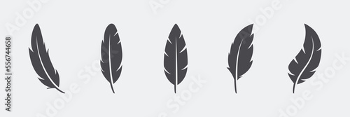 Vector Fluffy Feather Silhouette Icon Set Isolated. Design Template of Flamingo, Angel, Bird Feathers. Lightness, Freedom Concept