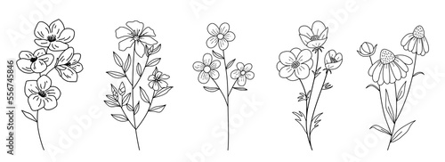 Decorative Branch Illustration Flower Line Art