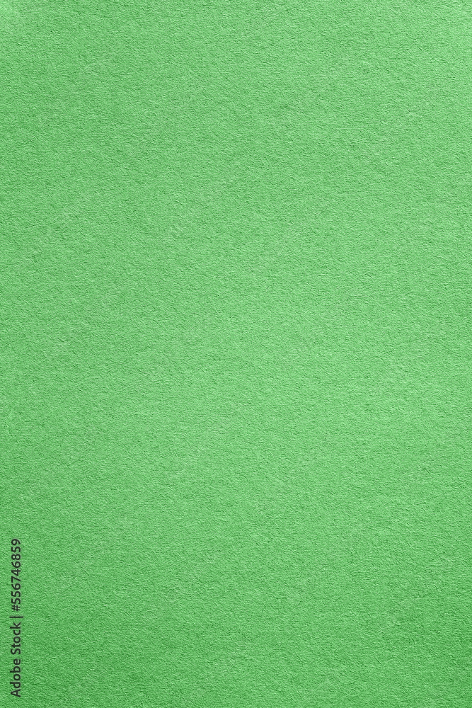 Fototapeta premium vertical macro natural green paper texture pattern