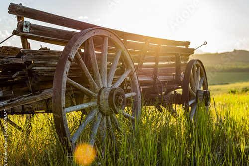 Old wooden wagon sitting in a field backlit by the sunlight; Waterton Lakes National Park Area, Alberta, Canada photo