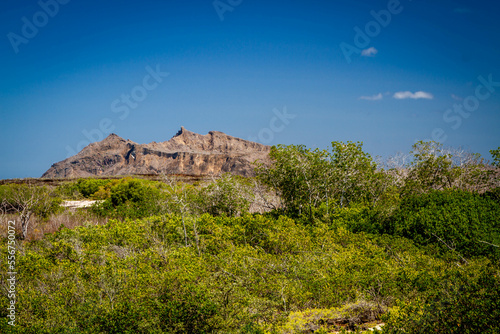 Cerro Brujo desde el bosque en Isla San Cristobal