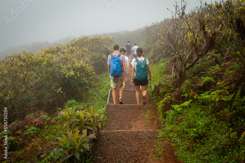 Sendero para subir laguna el Junco Isla San Cristobal Galápagos
