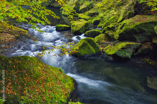 Kamenice River cascading through moss-covered rocks and foliage; Usti nad Labem Region, Czech Republic photo