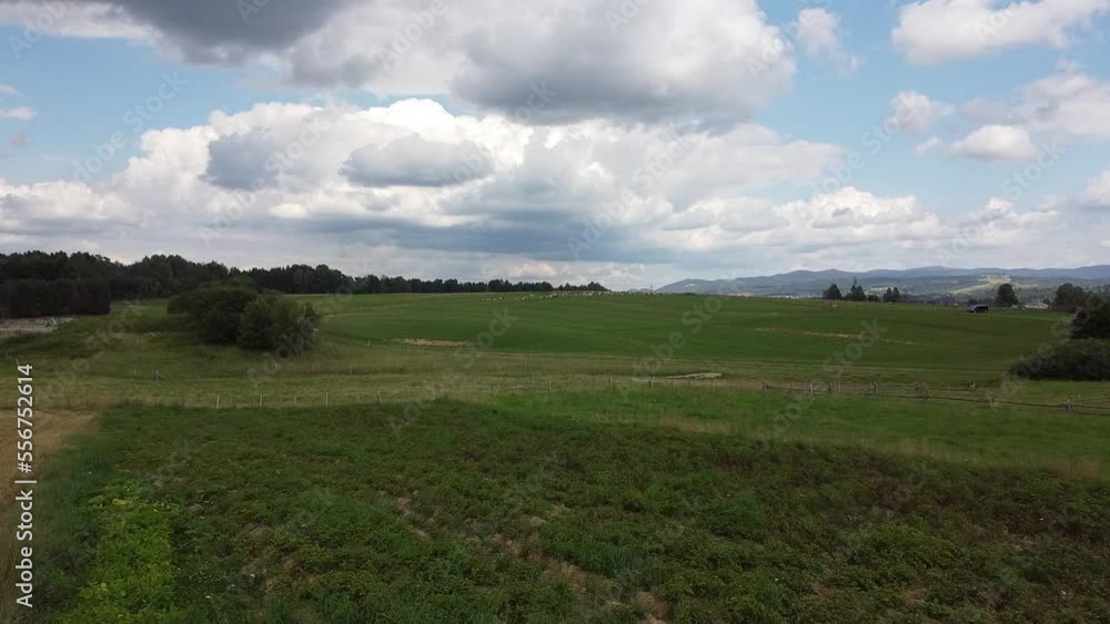 green field and sky green field and sky
