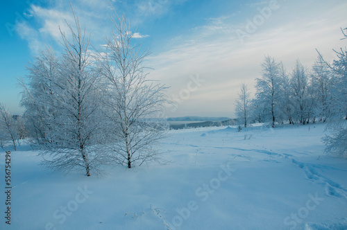 Winter landscape in the mountains, snowy winter landscapes, frosty mornings © mikhailgrytsiv