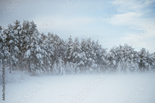 Winter Nebel  © Carola Stober