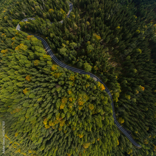 winding mountain road in a green forest (aerial view) 