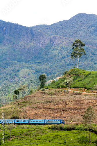 The famous Blue Train, passing through countryside and the Tea Estates in Hill Country; Nanu Oya, Hill Country, Central Province, Sri Lanka photo