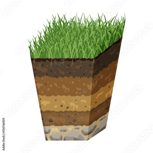 Soil in section. Volumetric image of structure of earth. Sector with layers of black soil and grass.