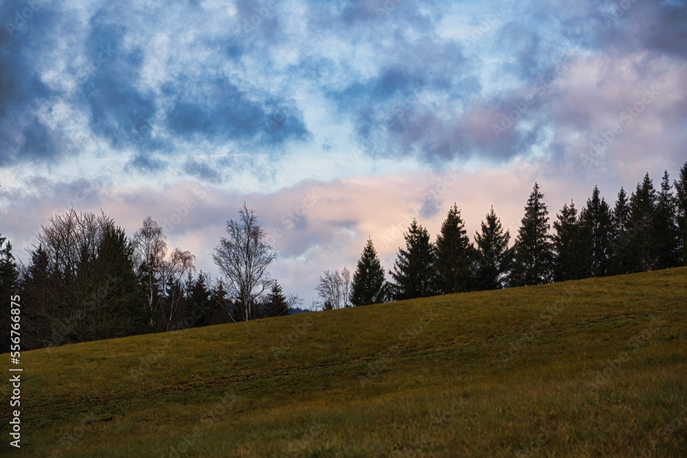 Abendhimmel über dem Waldrand Abendhimmel über dem Waldrand