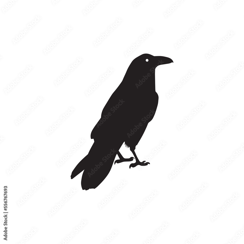 Fototapeta premium Crow silhouette vector icon.