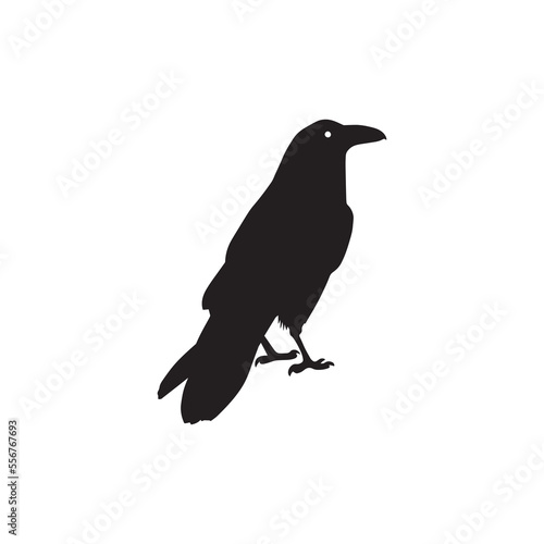 Crow silhouette vector icon.