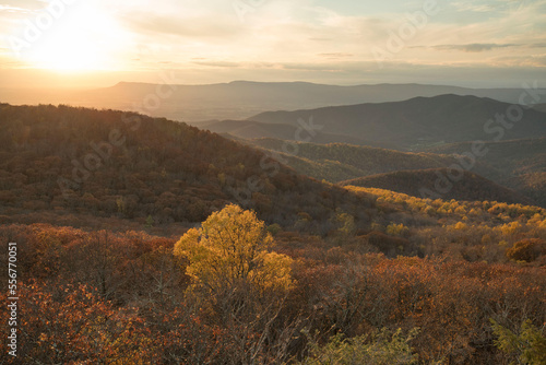 Fall foliage in the Shenandoah National Park and Shenandoah Valley in Virginia. photo