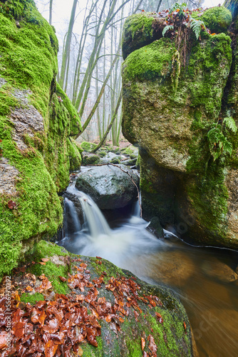 A stream flowing through the forest at Nature Reserve Holle, Bavarian Forest; Bavaria, Germany photo