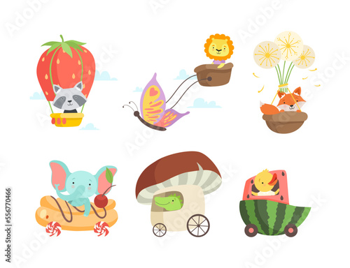 Cute baby animals using vehicles set. Raccoon, lion, fox, elephant, crocodile, duck flying with hot air balloons, riding car and carriage cartoon vector illustration