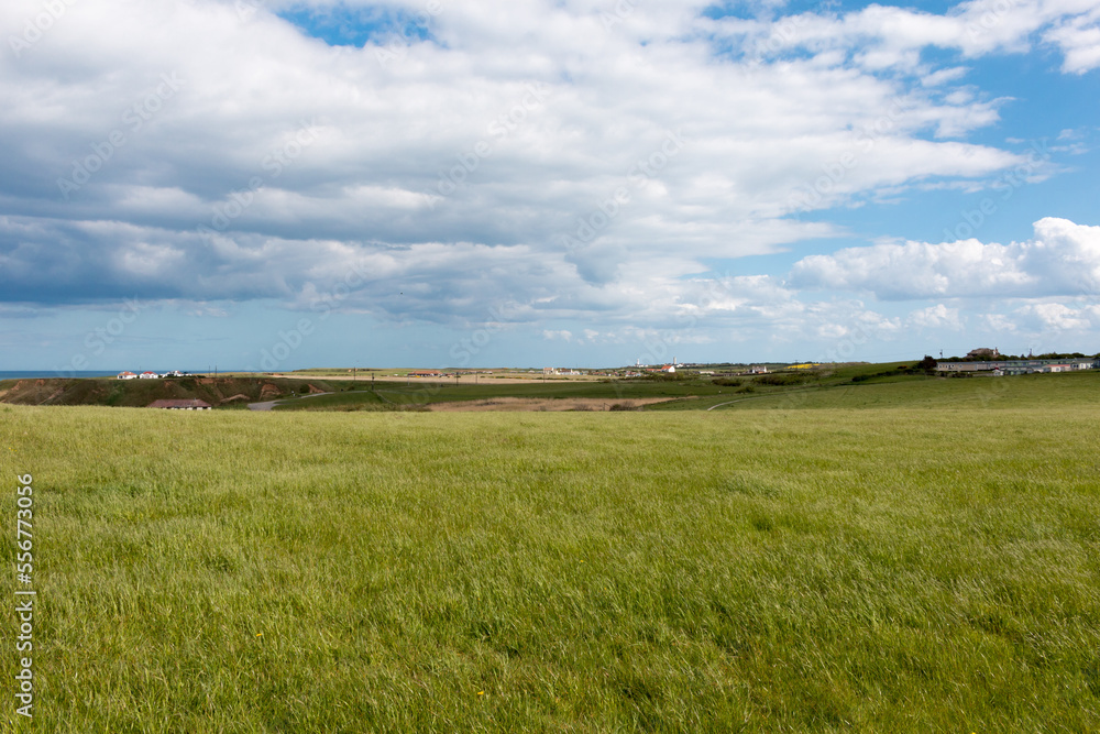 Thornwick Bay Coastline