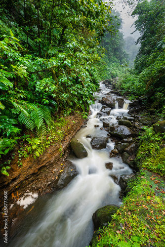 Rushing river though the tropical rainforest in Parc Nationale de la Guadaloupe near Cascades aux Ecrevisses; Basse-Terre; Guadeloupe, French West Indies photo