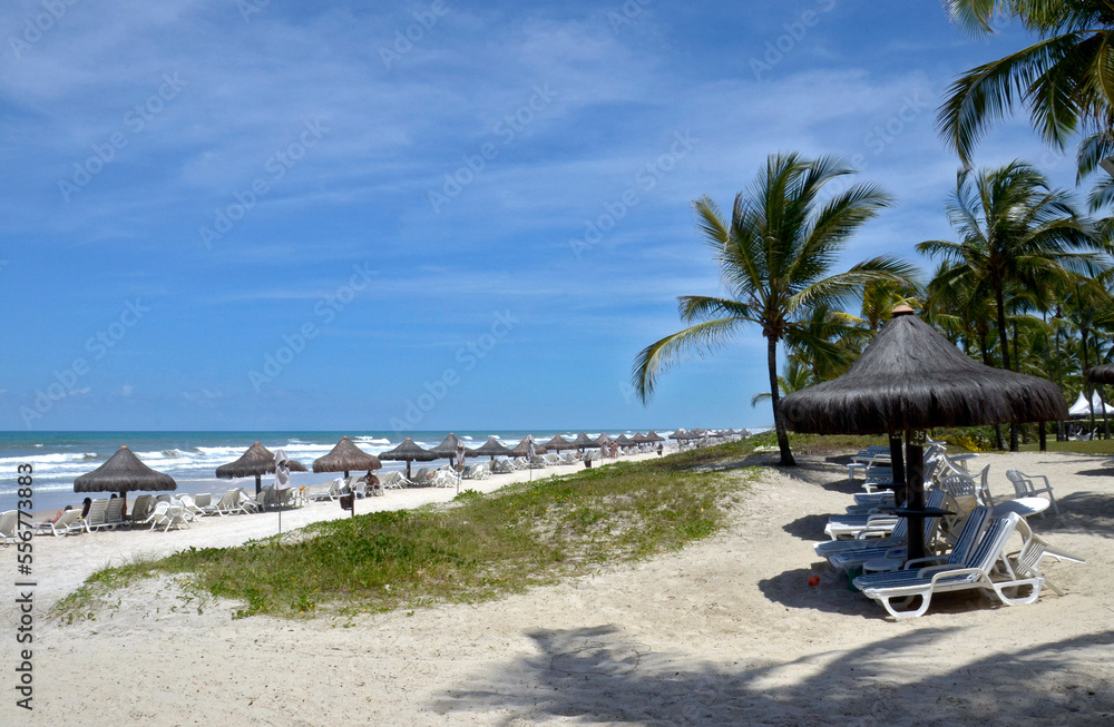 Chairs and straw umbrellas on the tropical beach. Bahia Brazil