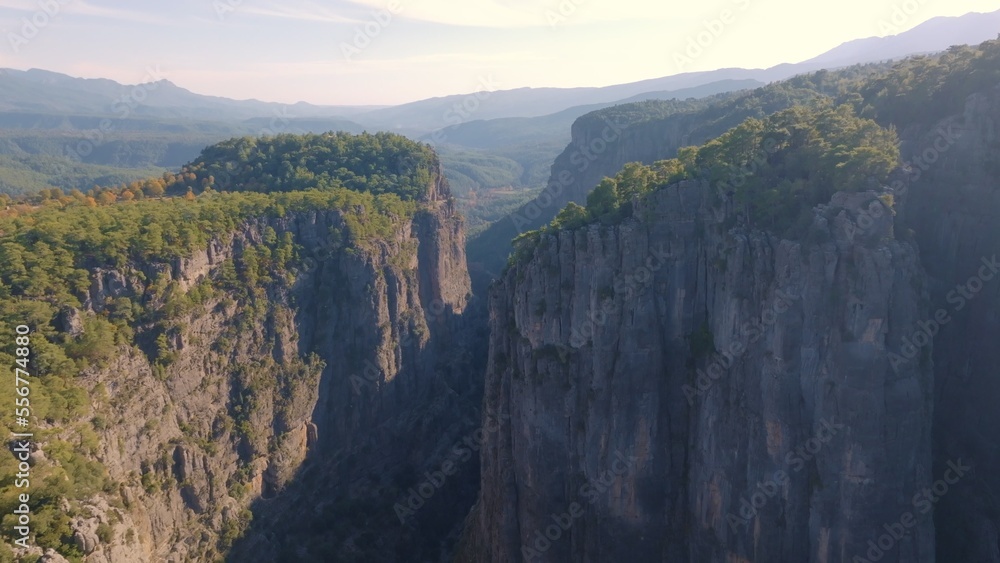 Aerial drone view. Trees grow on high gray rocks. Mountain landscape. Extreme. Sunny day. Blue sky. Aerial drone view. Trees grow on high gray rocks. Mountain landscape. Extreme. Sunny day. Blue sky.