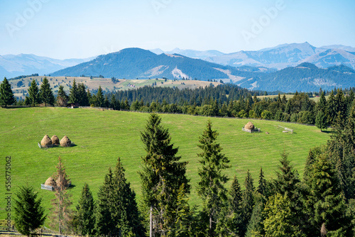 Grass meadow with haystacks and the Carpathian Mountains, Tasuleasa Social, Transylvania, Romania, photo