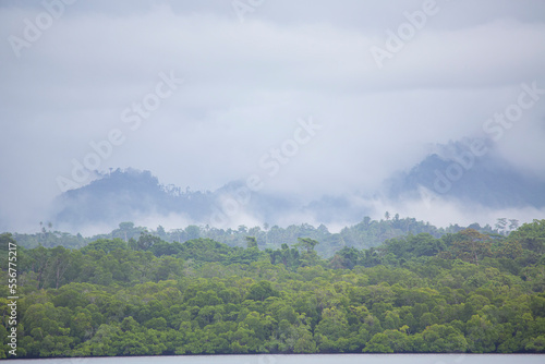Steam and mist rising from the jungles of Sewa Bay in the China Strait; Papua New Guinea photo