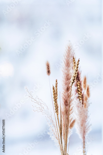 A small bouquet of wheat.